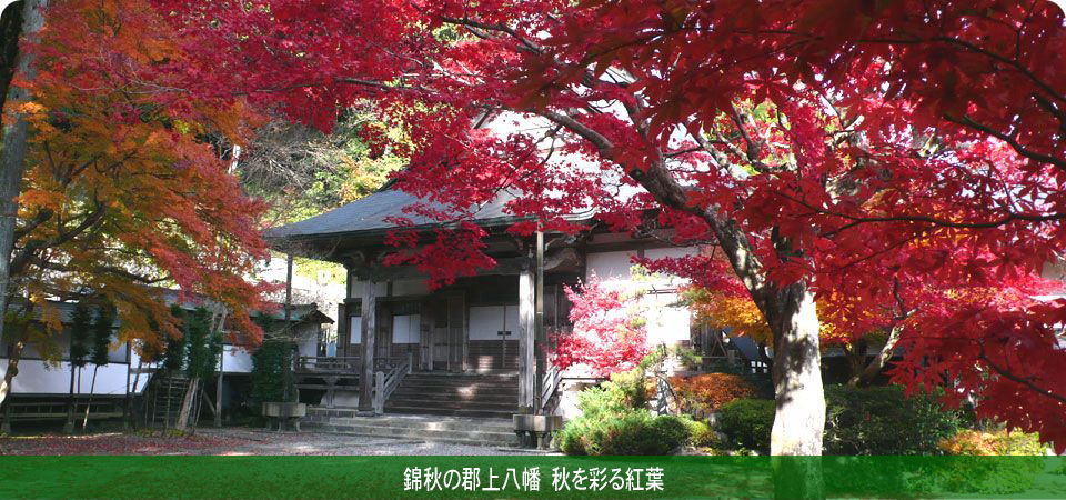 錦秋の郡上八幡　秋を彩る紅葉