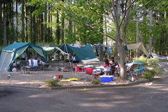 Gujo Hachiman Riverwood Camp Ground
