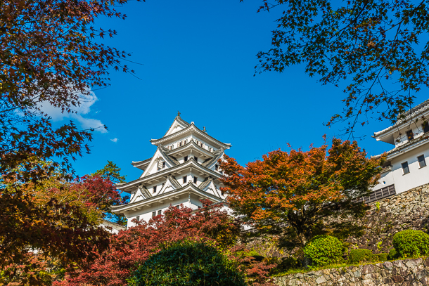 郡上八幡城