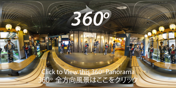 A 360 panorama of a Gujo Odori dance lesson.