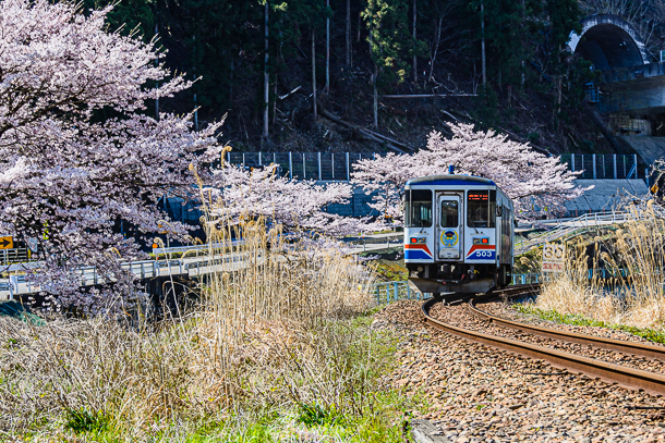 長良川