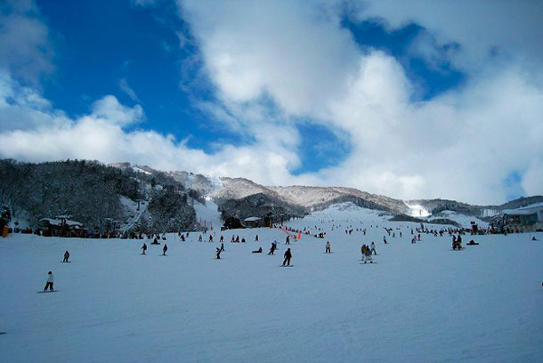 Snowboarding in Meiho