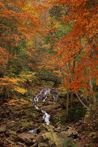 Autumn Colours Aong the Seseragi Kaido