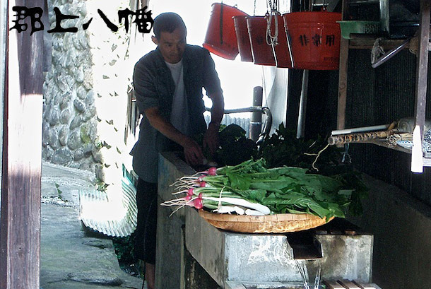 Washing Radishes