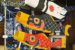 郡上本染