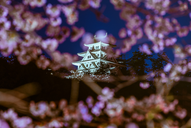 A night view from Gujo Hachiman Castle famed in cherry blossoms