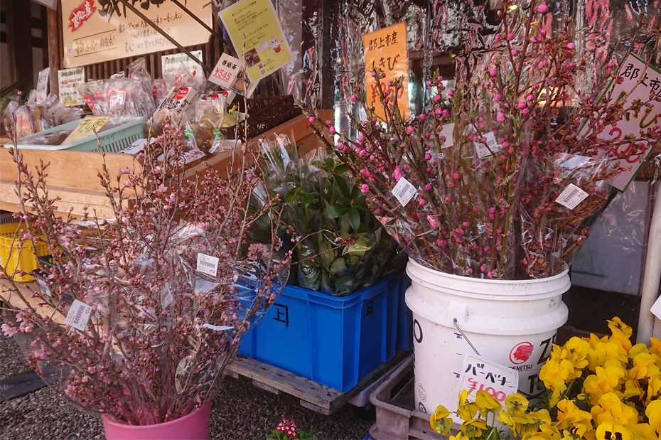 http://www.gujohachiman.com/plaza/info/DSC_2578.jpg